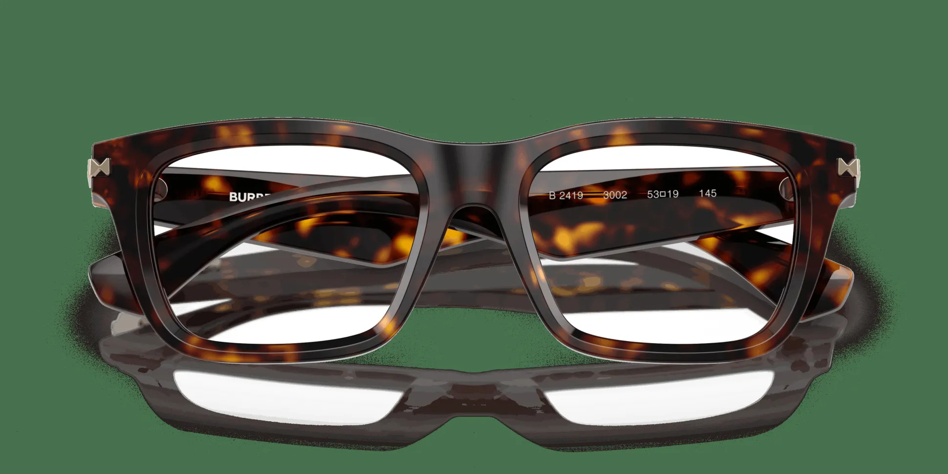 BURBERRY BE2419 3002