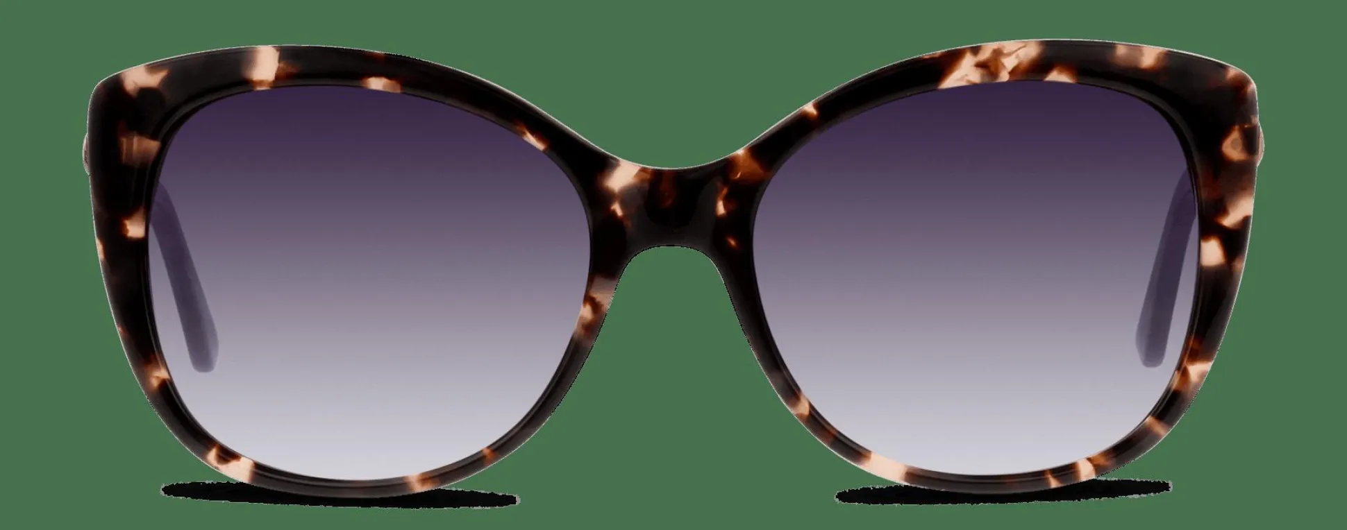 C-LINE CNGF13WCASE HP