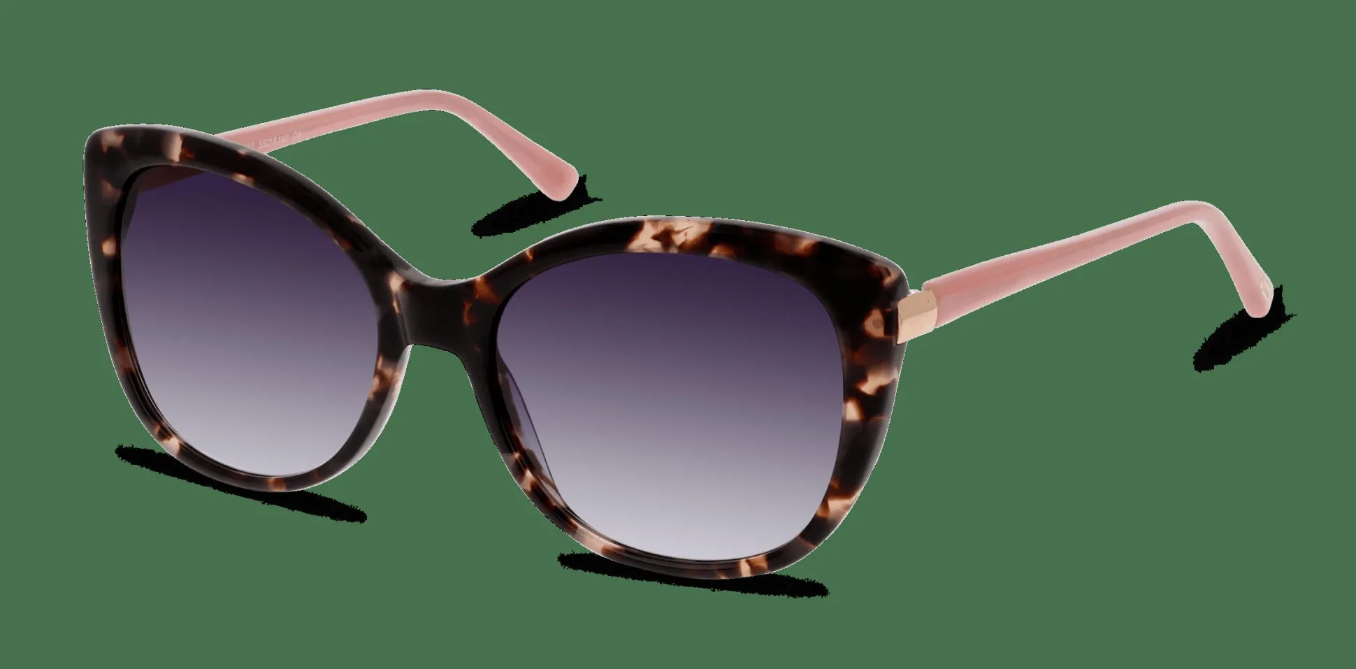 C-LINE CNGF13WCASE HP