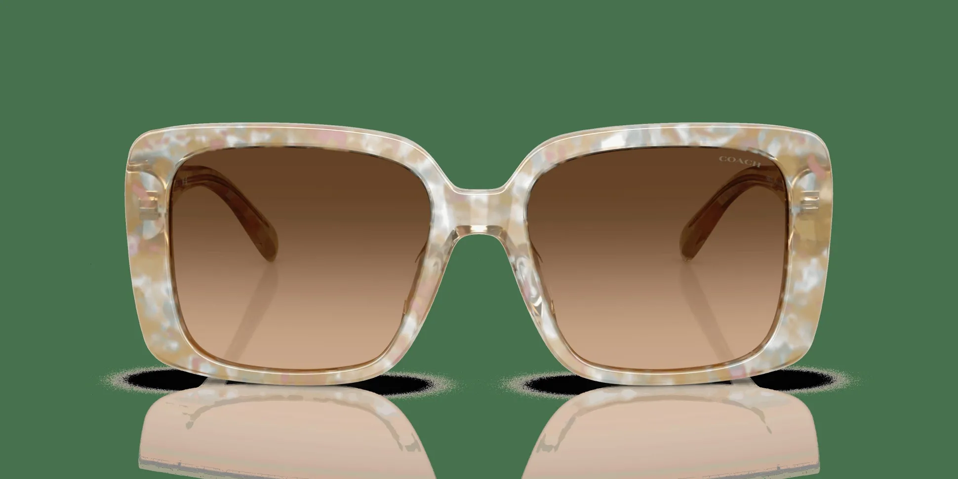 COACH HC8424U 586874