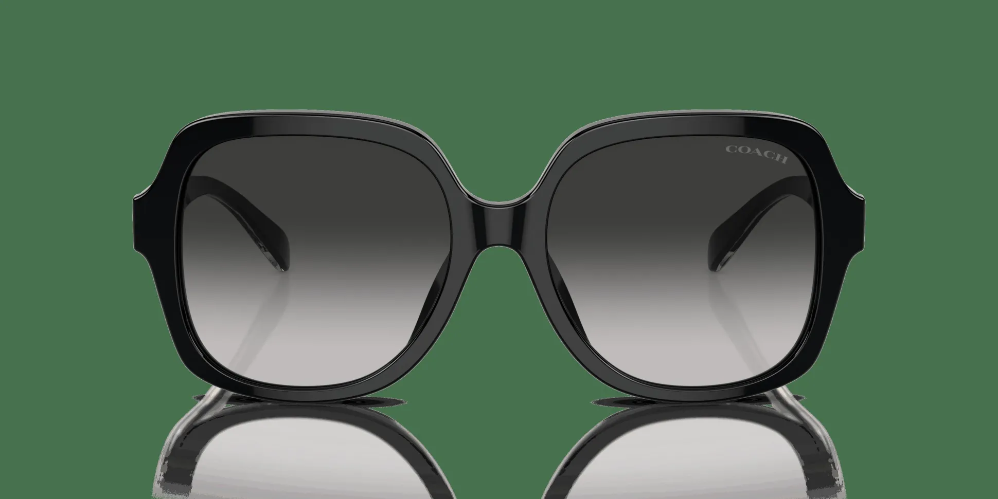 COACH HC8395U 50023C