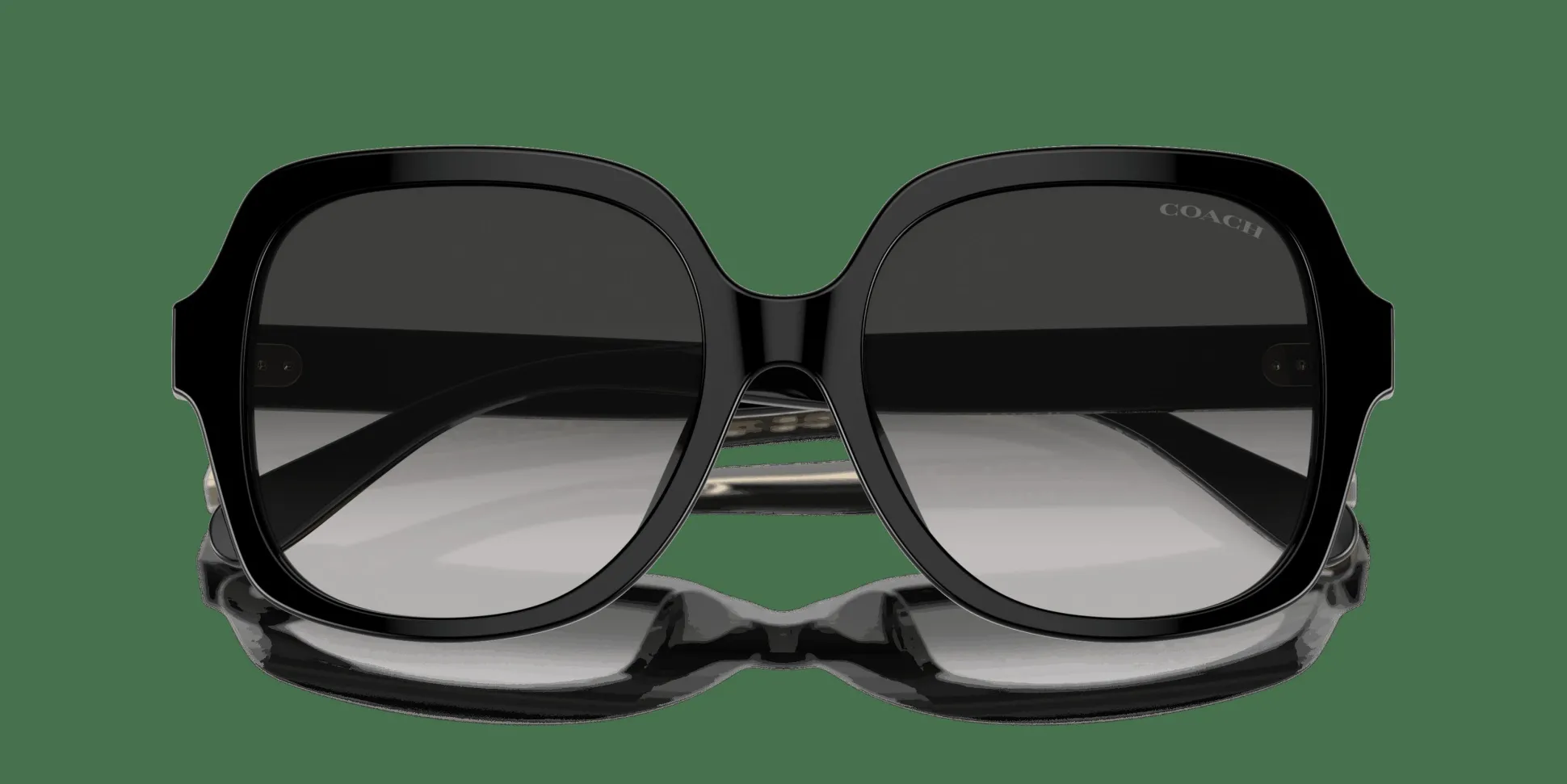 COACH HC8395U 50023C