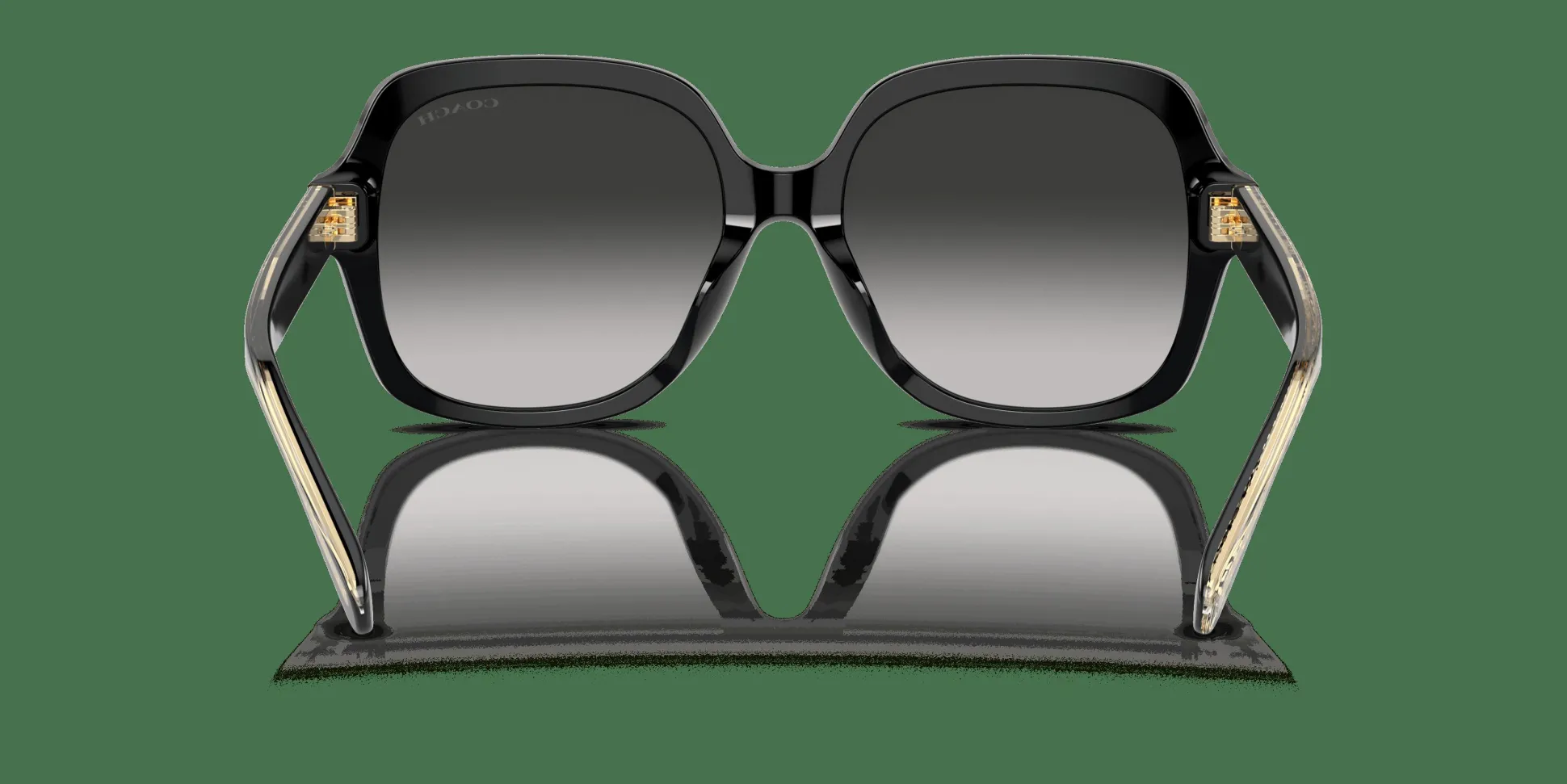 COACH HC8395U 50023C