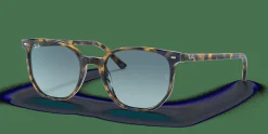 RAY-BAN Elliot RB2197 13563M