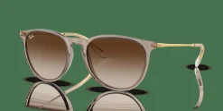 RAY-BAN Erika Classic RB4171 674413