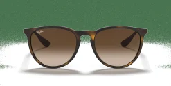 RAY-BAN Erika Classic RB4171 865/13