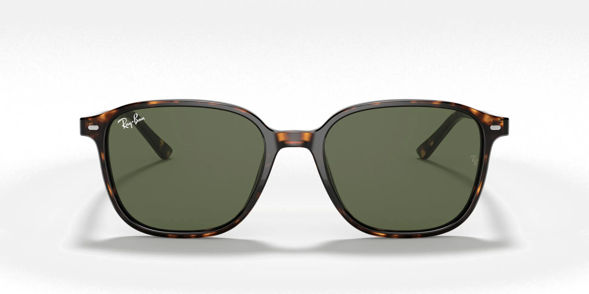 RAY-BAN Leonard RB2193 902/31