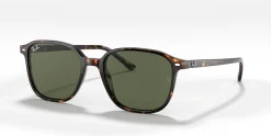 RAY-BAN Leonard RB2193 902/31