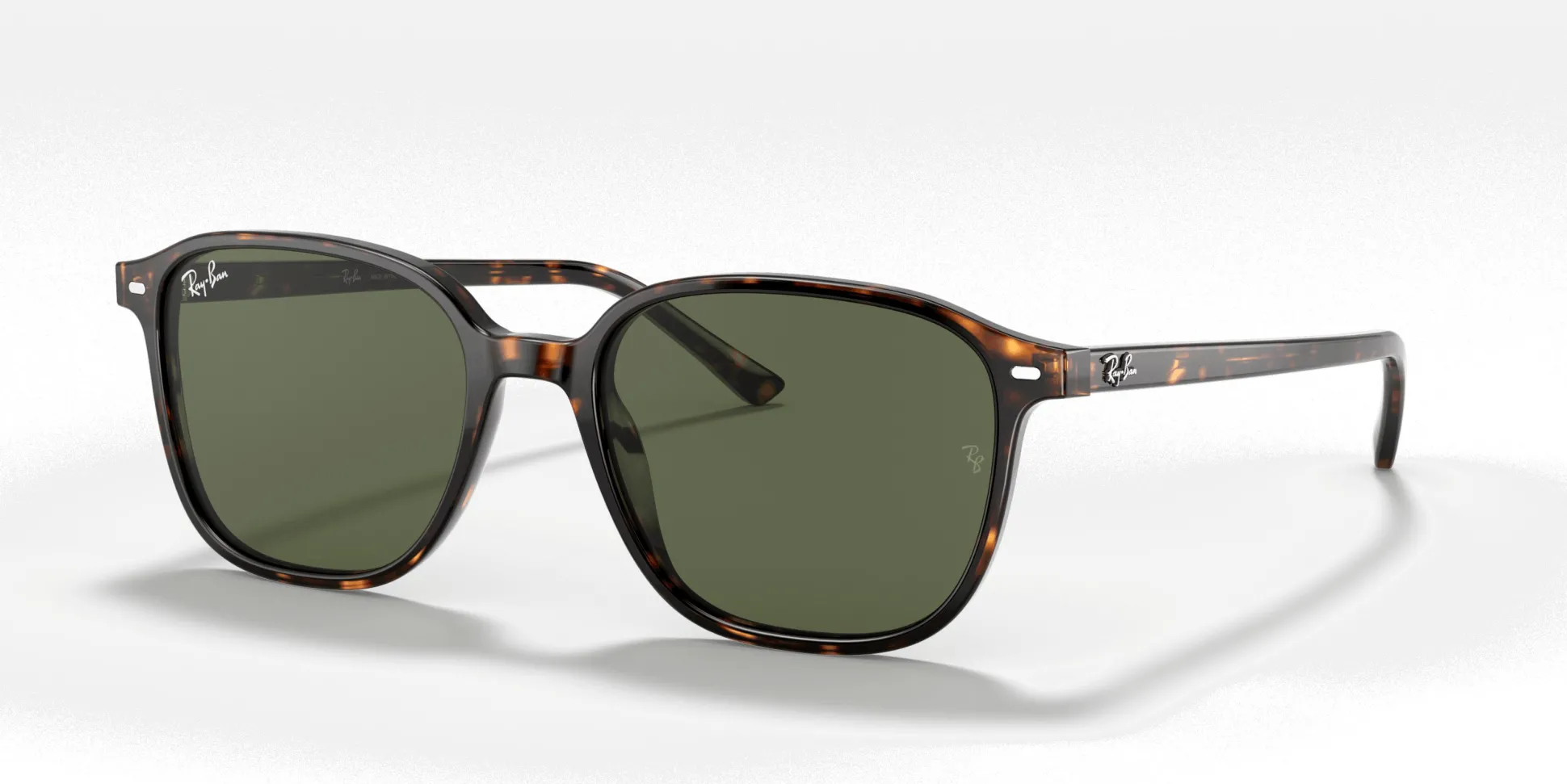 RAY-BAN Leonard RB2193 902/31