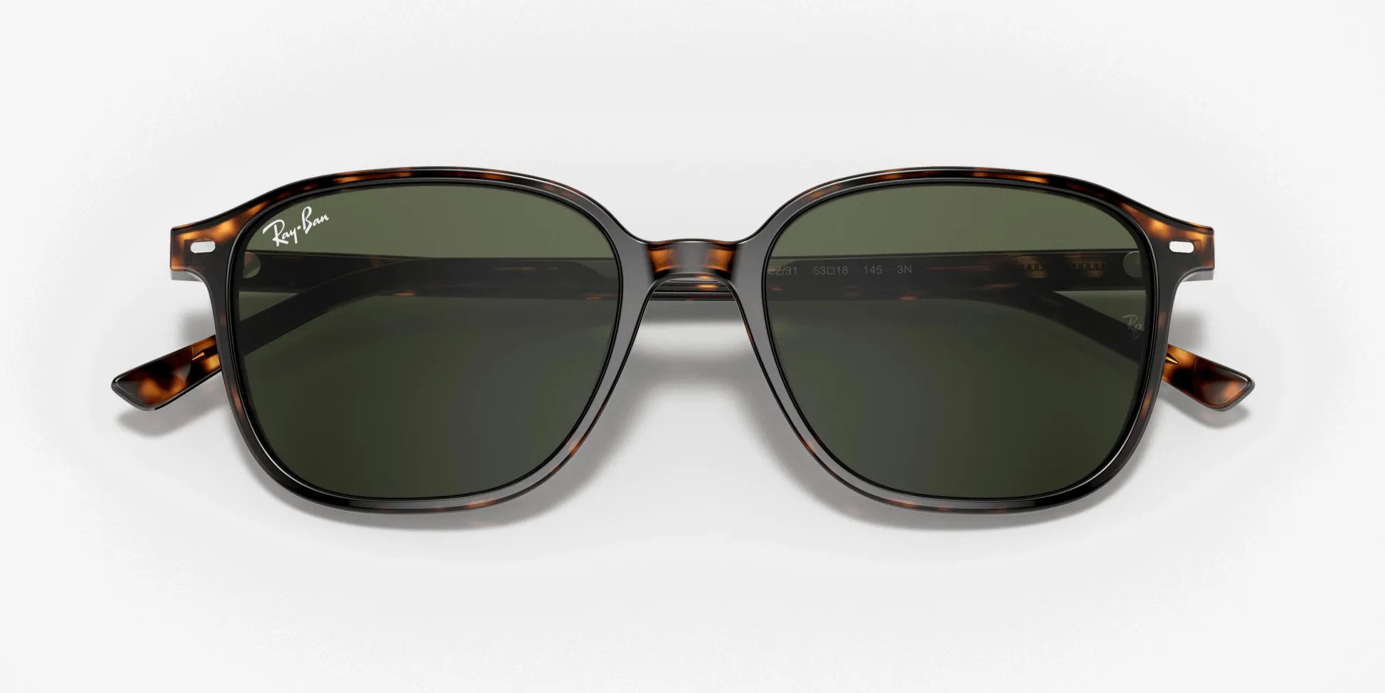 RAY-BAN Leonard RB2193 902/31