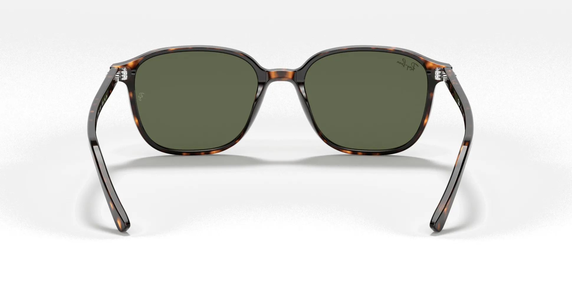 RAY-BAN Leonard RB2193 902/31