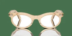 RAY-BAN Wayfarer Oval Optics Change RX2242V 8294