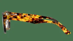 UNOFFICIAL UNOM0021 BH00