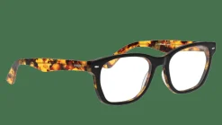 UNOFFICIAL UNOM0021 BH00